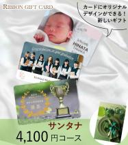 オリジナル印刷 カタログギフトカード 4100円コース【サンタナ】 TO-04