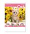 壁掛けカレンダー サンキュー・キャット【名入れ専用】のサムネイル画像3枚目