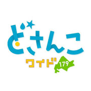札幌テレビ放送 どさんこワイド 「コレ☆ホシー」 ロゴ
