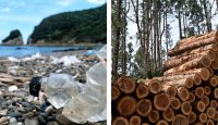 海洋プラスチックごみや森林伐採などの環境破壊が進む様子