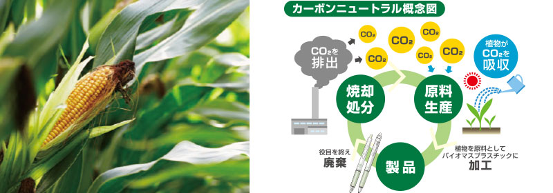 カーボンニュートラル