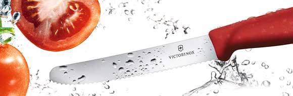 高い品質と機能性を兼ね備えるパフォーマンスの高さ