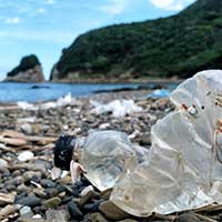 海洋プラスチックゴミ　イメージ画像
