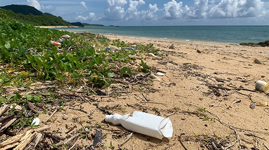 プラスチックゴミが海岸に捨てられている画像