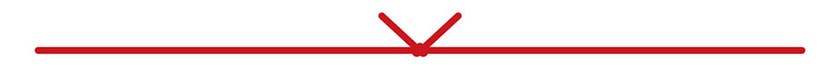 熨斗（のし）結び切り