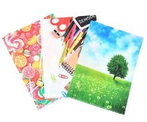 全面フルカラー印刷を行ったクリアファイルのイメージ